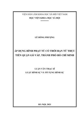 Luận văn Áp dụng hình phạt tù có thời hạn từ thực tiễn quận Gò Vấp, Thành phố Hồ Chí Minh