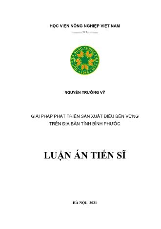 Luận văn Giải pháp phát triển sản xuất điều bền vững trên địa bàn tỉnh Bình Phước