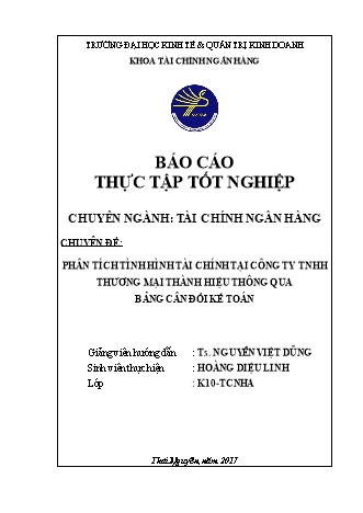 Khóa luận Phân tích tình hình tài chính thông qua bảng cân đối kế toán tại Trách nhiệm hữu hạn thương mại Thành Hiệu